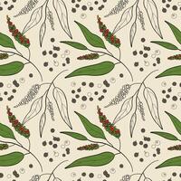 Seamless pattern with allspice plants. Hand drawn repeating background with pepper spice with branch, leaves and fruits of tropical tree Pimento officinalis. Food ingredient, health, aroma vector