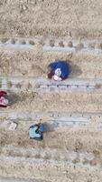 Workers Working in Farming video