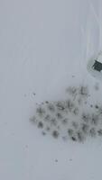 Lonely House Covered With Snow video