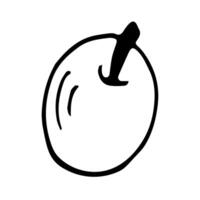 Apple in a hand drawn style on an isolated white background. vector