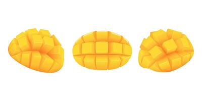 Set with cube sliced mango on skin. Diced mango on skin. vector
