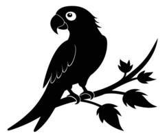 Black and white parrot on branch vector