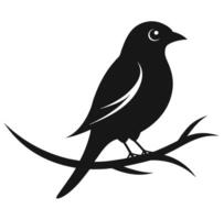 Black bird on branch silhouette on white background vector