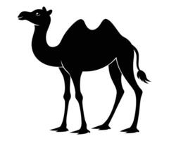 A camel is standing in a black silhouette vector