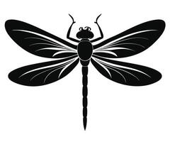 Dragonfly silhouette on white background vector