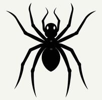 A black spider on a white background vector