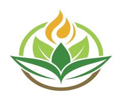 The logo for the company is a green leaf with a flame vector