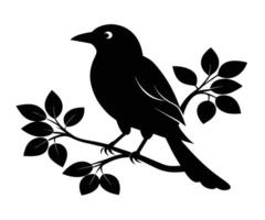 Black bird on branch with leaves vector