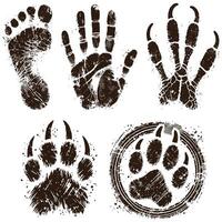 Four paw prints and footprints vector