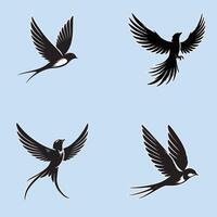 Flying Different types of bird collections on white background vector