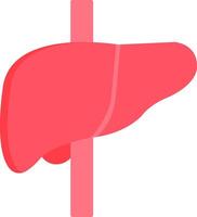 Liver Icon Design Symbol vector