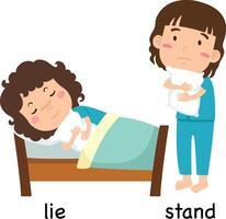 Opposite stand and lie illustration vector