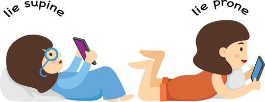 Opposite lie supine and lie prone illustration vector