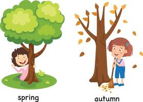 Opposite spring and autumn illustration vector