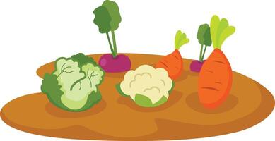 vegetables in garden on white background vector
