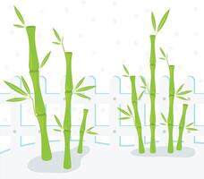 bamboo on white background illustration vector