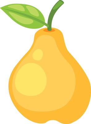 illustration of quince white on background