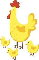 illustration of isolated chicken on white background vector