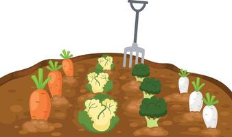 vegetables in garden on white background vector