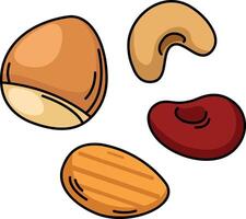 illustration of colorful nut outline white on background vector