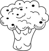 illustration of broccoli outline white on background vector