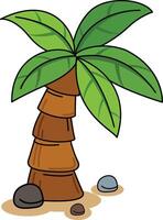 illustration of coconut palm tree isolated on white background vecto vector