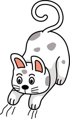 illustration of cat outline white on background