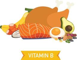 Vitamin B food sources illustration vector