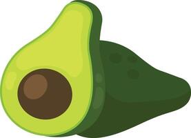 illustration of avocado on a white background vector