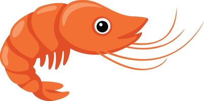 illustration of shrimp on a white background vector