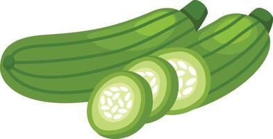 illustration of zucchini on a white background vector