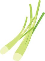 illustration of spring onion on a white background vector