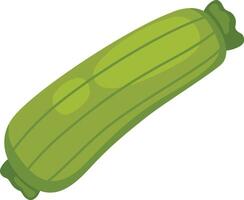 illustration of zucchini on a white background vector