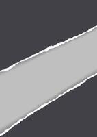 Grunge style torn paper design background vector