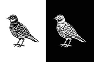 Distinct Bird Silhouettes in Black. Design Icons for Creative Projects vector