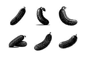 Cucumber silhouette icon set. Cucumber illustration white background. vector