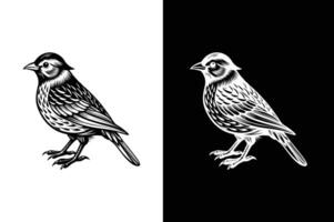 Elegant Bird Icons and Silhouettes. Black Elements for Branding vector