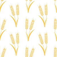 Seamless Pattern of Spikelet of Wheat on White Background vector