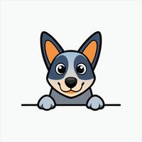 Australian Cattle Dog Isolated images vector