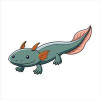 A colorful Axolotl San Diego vector