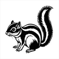 Philippine Tree Squirrel vector