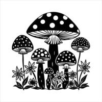 Mushrooms - The Nutrition Source vector