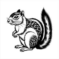 Belding ground squirrel vector