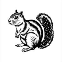 Ground squirrel Behavior vector