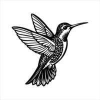 Ruby throated hummingbird vector