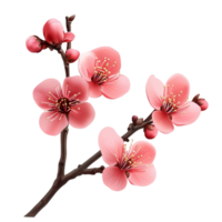 cherry blossom tree branch with pink flowers on a transparent background png