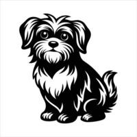 The little Maltese stood tall its soft fur gently vector