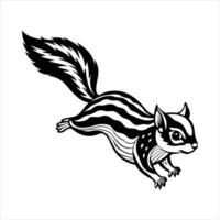 Particolored flying squirrel vector