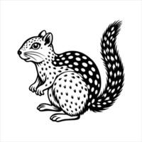 Spotted Ground Squirrel. vector