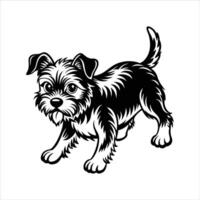 Border Terrier Playful Pose vector